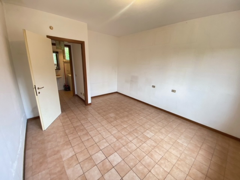 image3 (2).jpeg